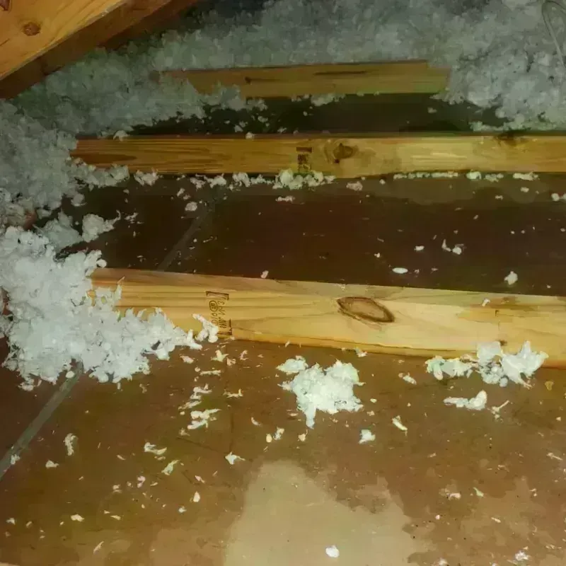 Attic Water Damage in Warren, MA